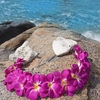 PURPLE Hawaiian Plumeria Flower Crown Floral Halo Boho Bohemian